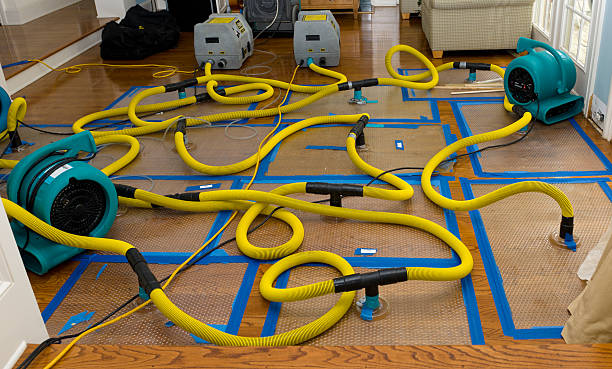Professional Crawl Space Water Removal technician working in Stony Point, MI